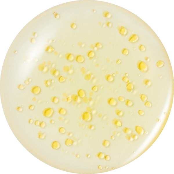 DERMAFIRM Peptology Boosting Niacinamide Vita C+ – WELL.UA – Фото 3
