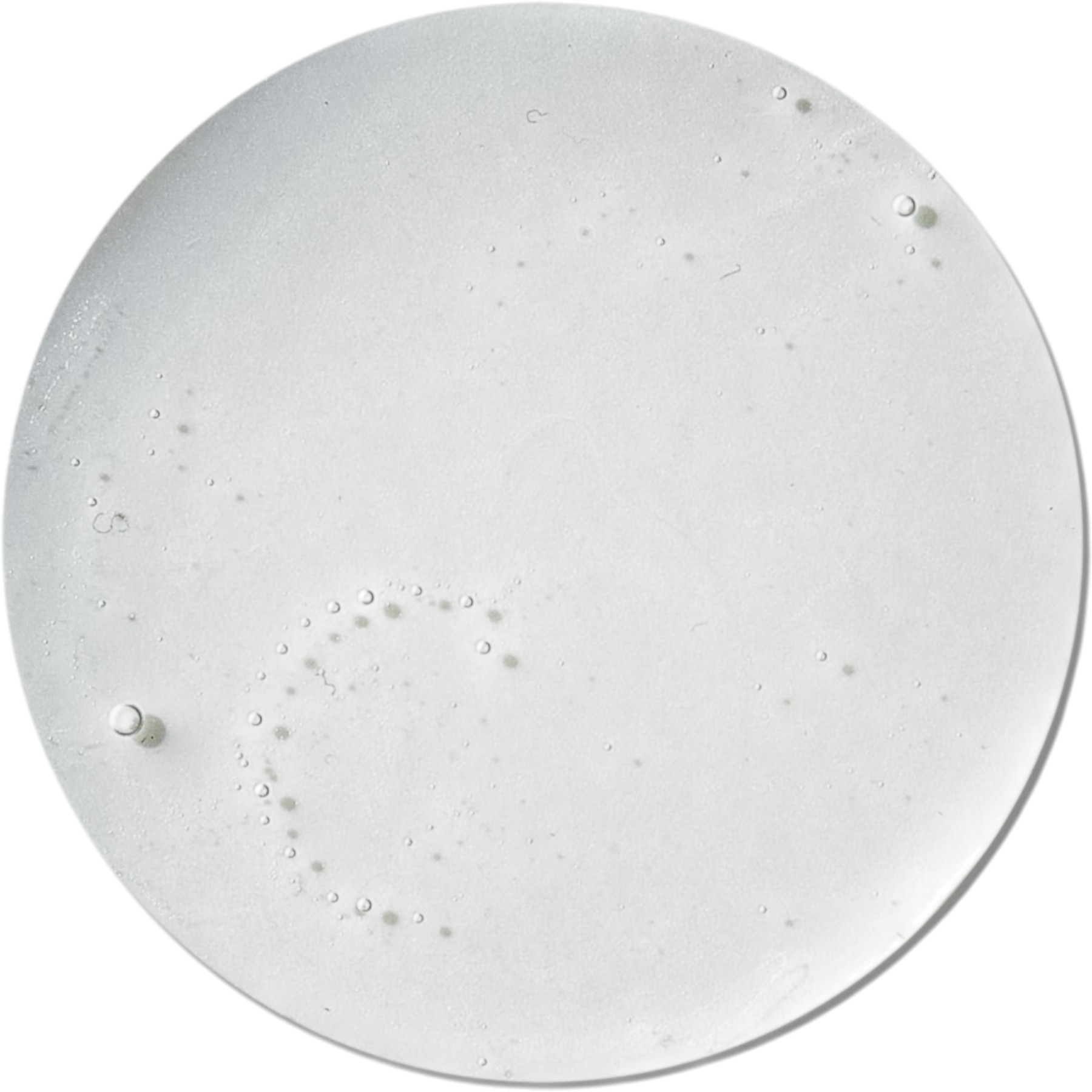 CANTABRIA LABS Iraltone Sebum‑normalizing shampoo – WELL.UA – Фото 2