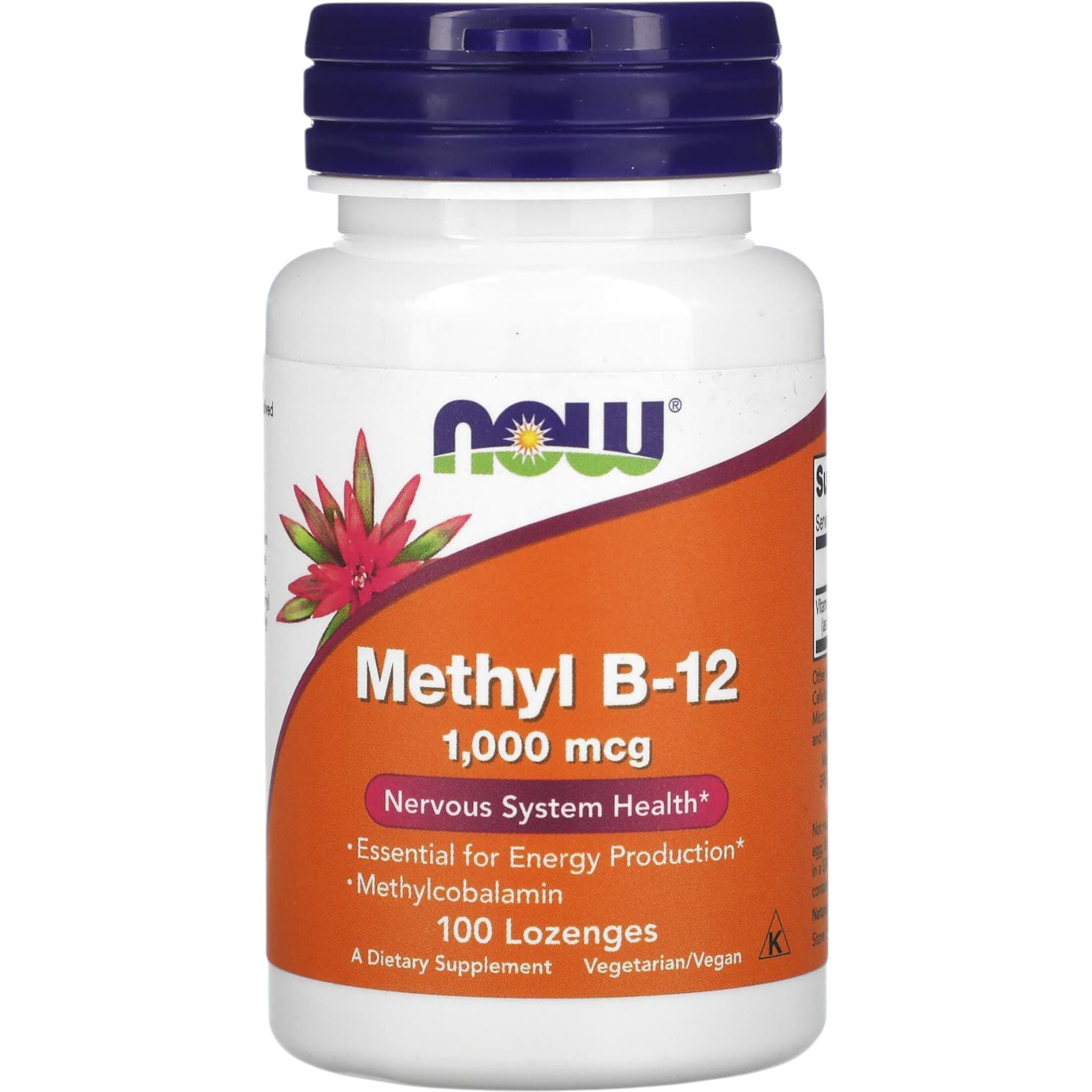 METHYL B-12 1000mcg  100 LOZ – WELL.UA